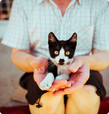 The Importance of Personalized Pet Boarding A Home Away from Home