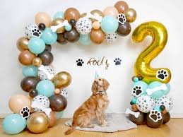 Balloons Decoration